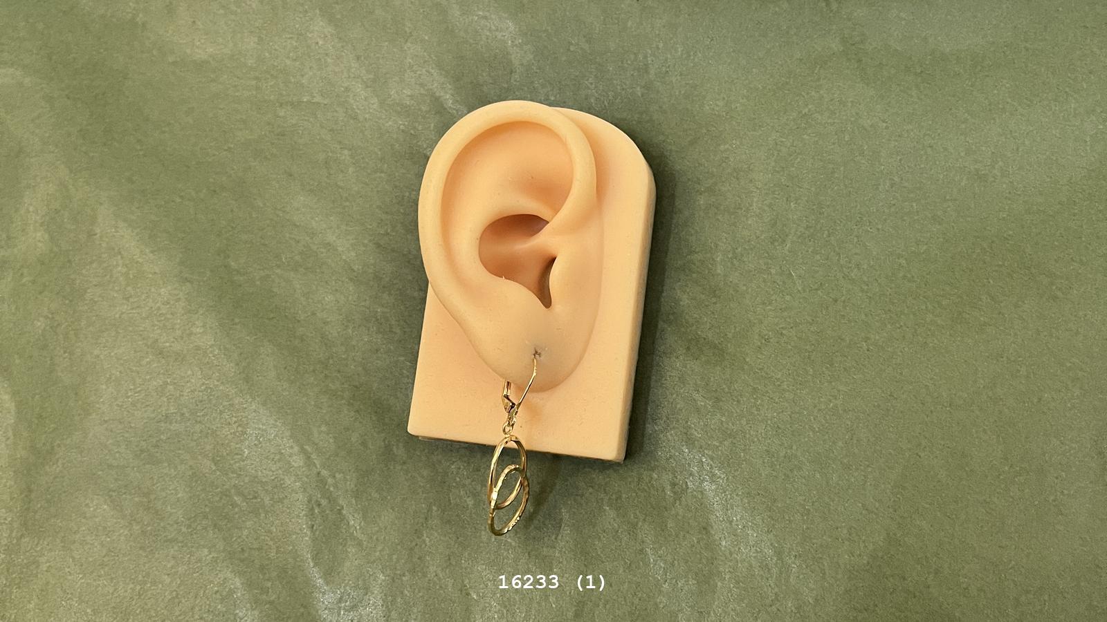 Uploaded image 1