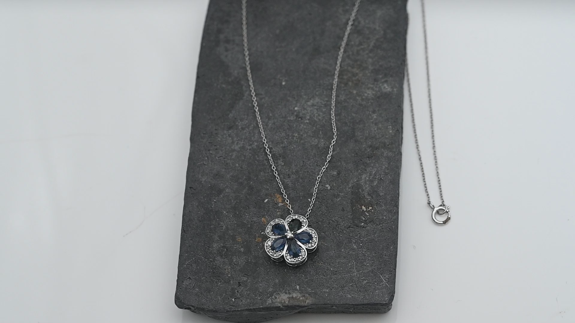 Uploaded image 1