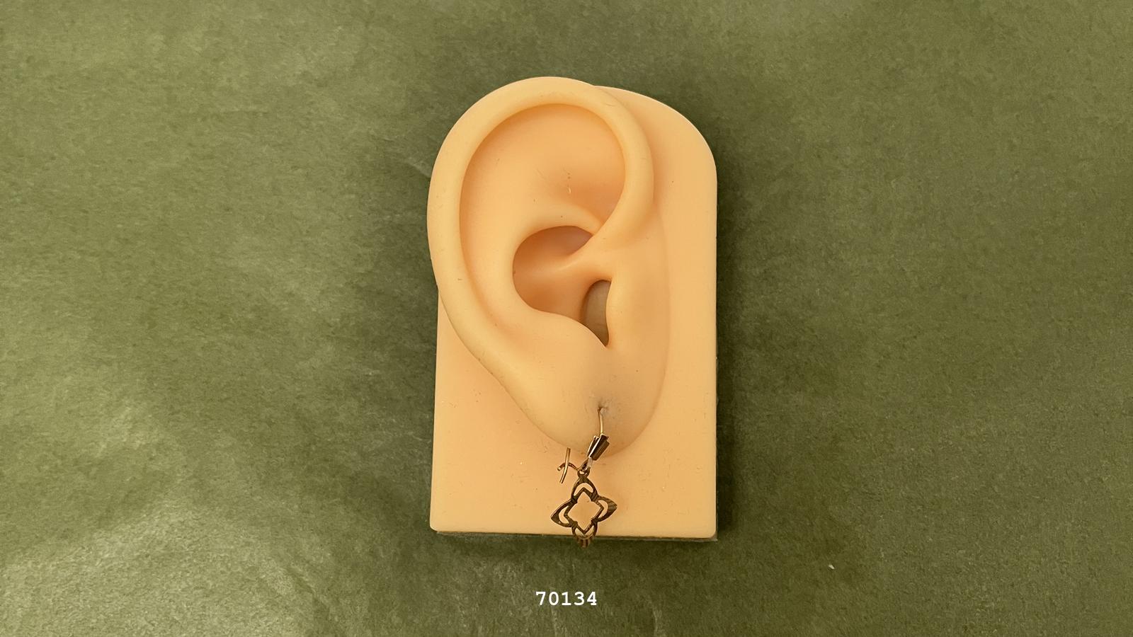 Uploaded image 1