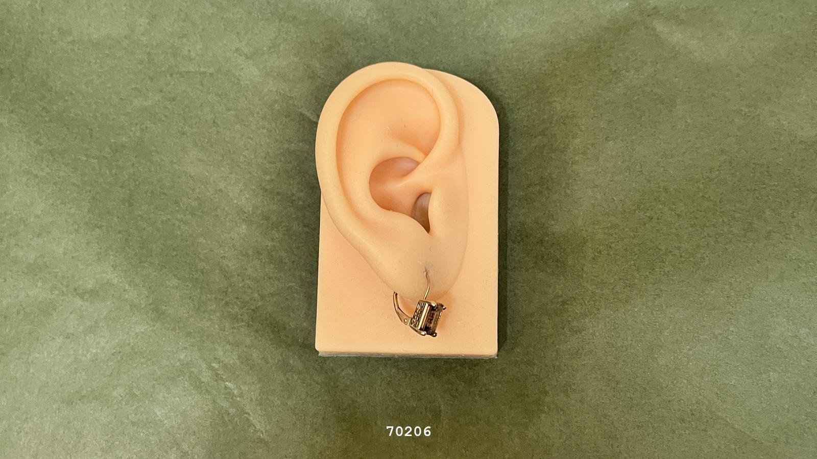 Uploaded image 1