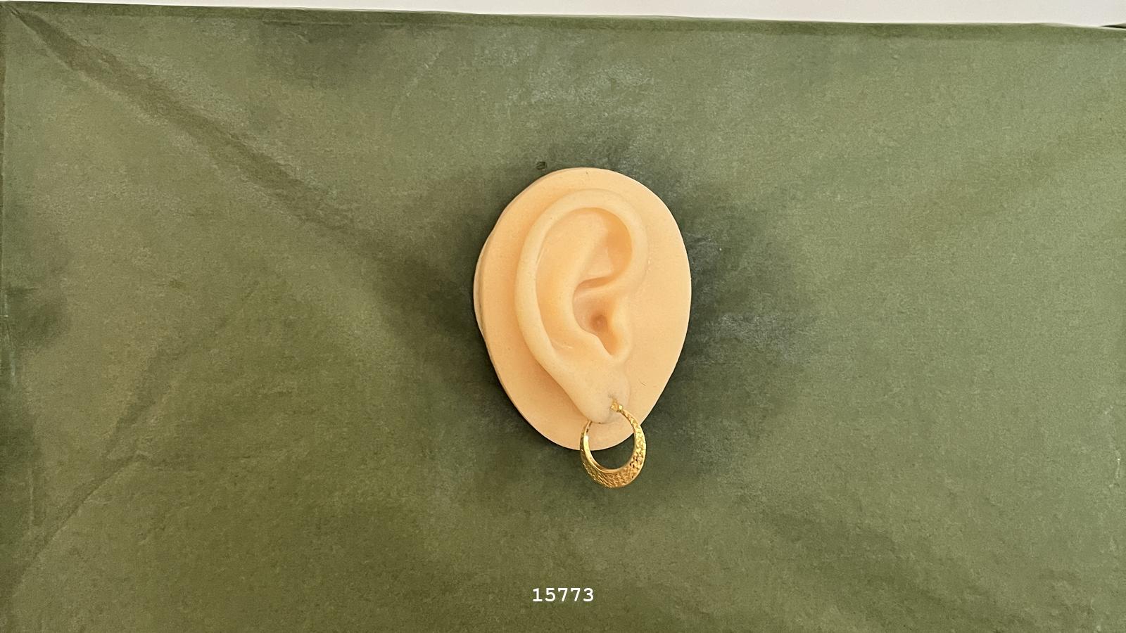 Uploaded image 1
