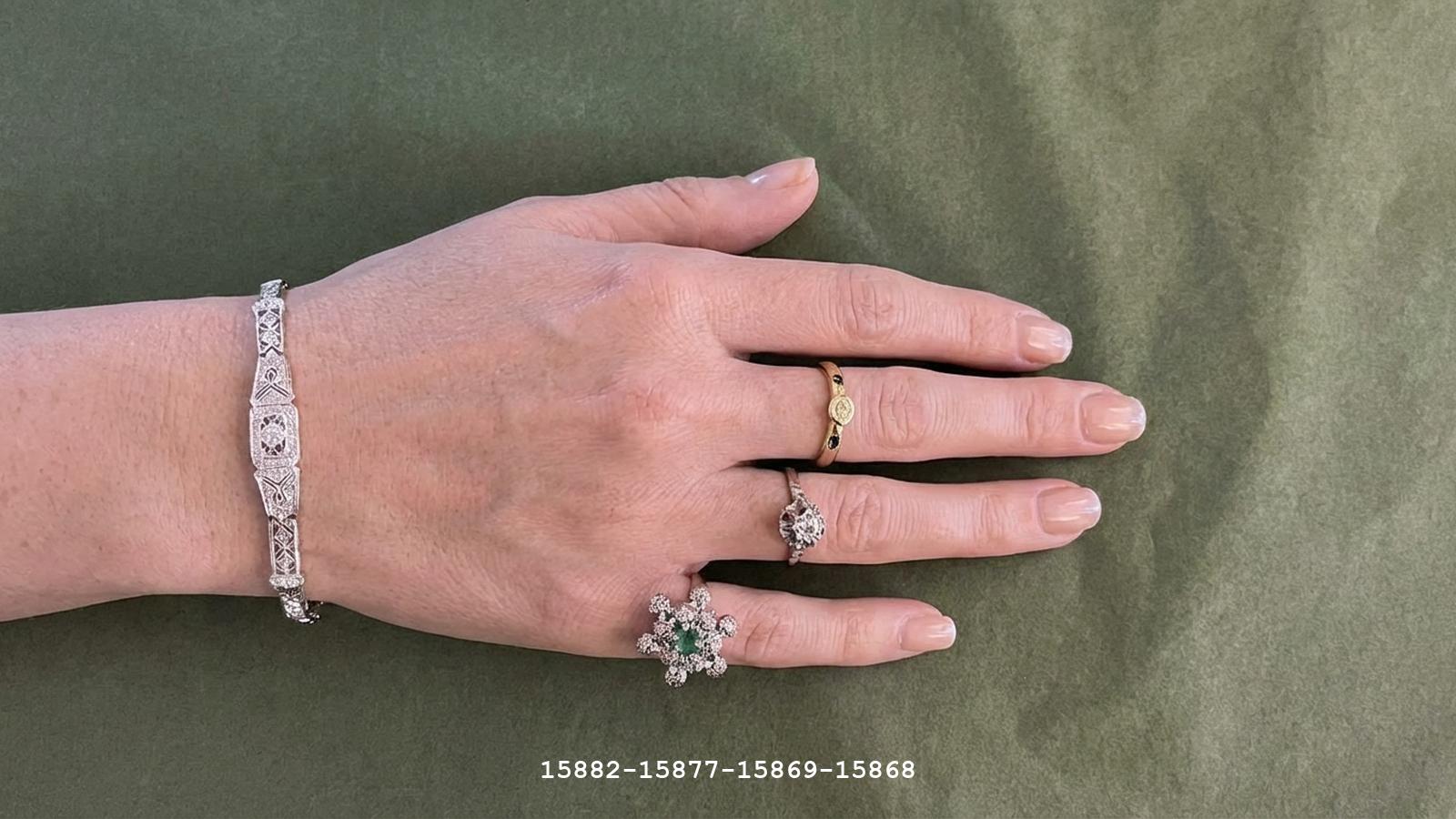 Uploaded image 1