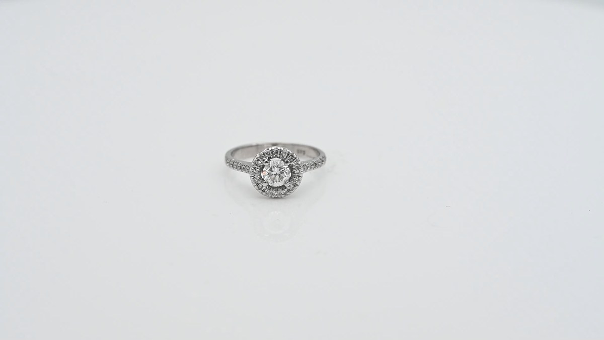 Uploaded image 1