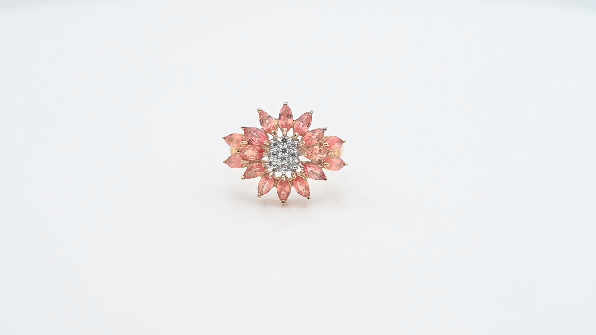 Uploaded image 1