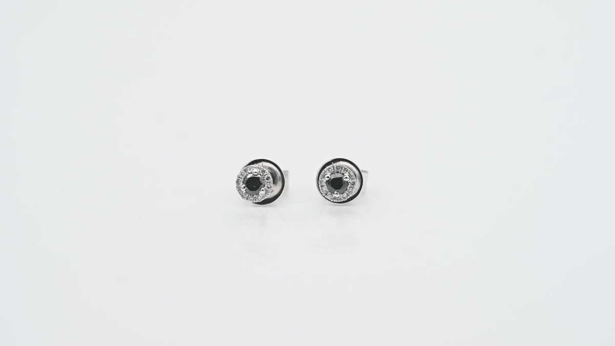 61231-1.png